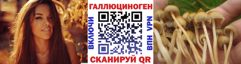 мега вход дарнет шоп Павлово Галлюциногенные грибы MAGIC MUSHROOMS