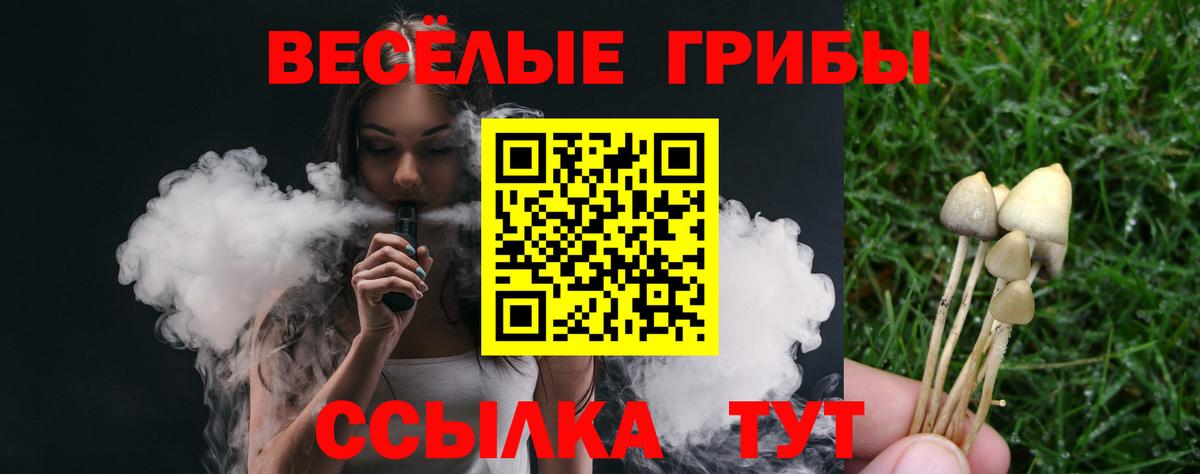Псилоцибиновые грибы ЛСД Павлово